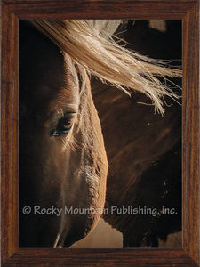 "Heart of Gold" Framed Canvas Print