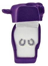 Load image into Gallery viewer, Rhinestone Horseshoe Earrings with Horse Head Gift Box (Choose Color)