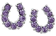 Load image into Gallery viewer, Rhinestone Horseshoe Earrings with Horse Head Gift Box (Choose Color)