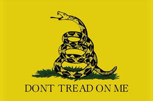 Load image into Gallery viewer, Don&#39;t Tread On Me Sticker (5-1/2&quot; x 3-1/2&quot;)