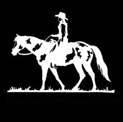 (MBDV8175) "Cowgirl - Paint Horse" High Performance Vinyl Decal