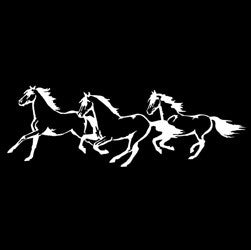 (MBDV8190) "Three Horses" High Performance Vinyl Decal