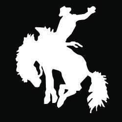 (MBDV8201) "Buckaroo Mustang" High Performance Vinyl Decal