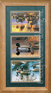 (RMP-TRPCF01) "Water Fowl" Western Triple Print by Cynthie Fisher