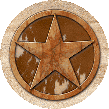 Load image into Gallery viewer, (THS-TS9019) &quot;Western Star&quot; 4-Piece Sandstone Coaster Set