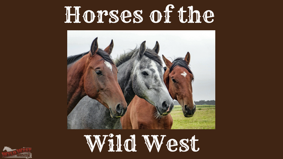 Horses of the Wild West