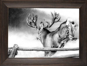 "Over and Out" Deer Framed Canvas Print