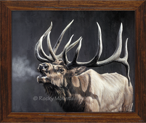 "Royal Persuasion" Elk Framed Canvas Print