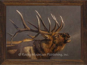 "The Summoner" Elk Framed Canvas Print