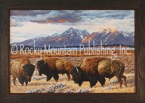 "The Bull Session" Western Canvas Textured Framed Print
