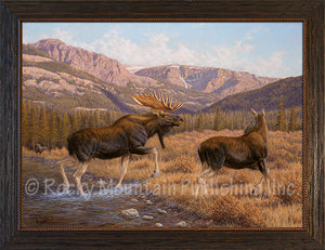 "Threes Company" Moose Canvas Textured Framed Print