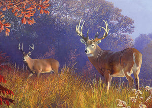 Deer Scene Puzzle with Tin Box