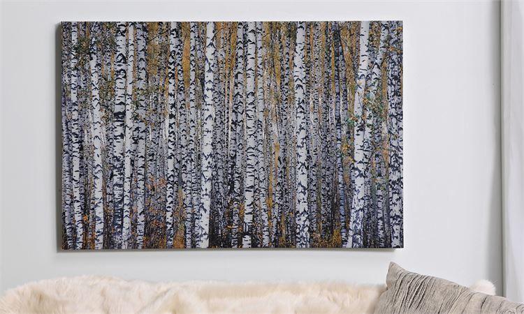 Birch Trees Canvas Wall Art