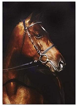 Brown Horse Canvas Print