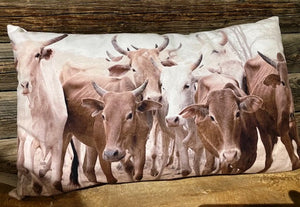 Cattle Accent Pillow - 19" x 11"