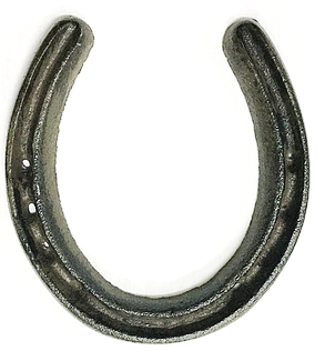 Cast Iron Large Horseshoe