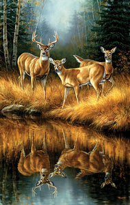 "Whitetail Reflections" 500 Pc  Jigsaw Puzzle