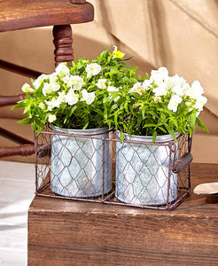 Galvanized Double Planters in Wire Basket