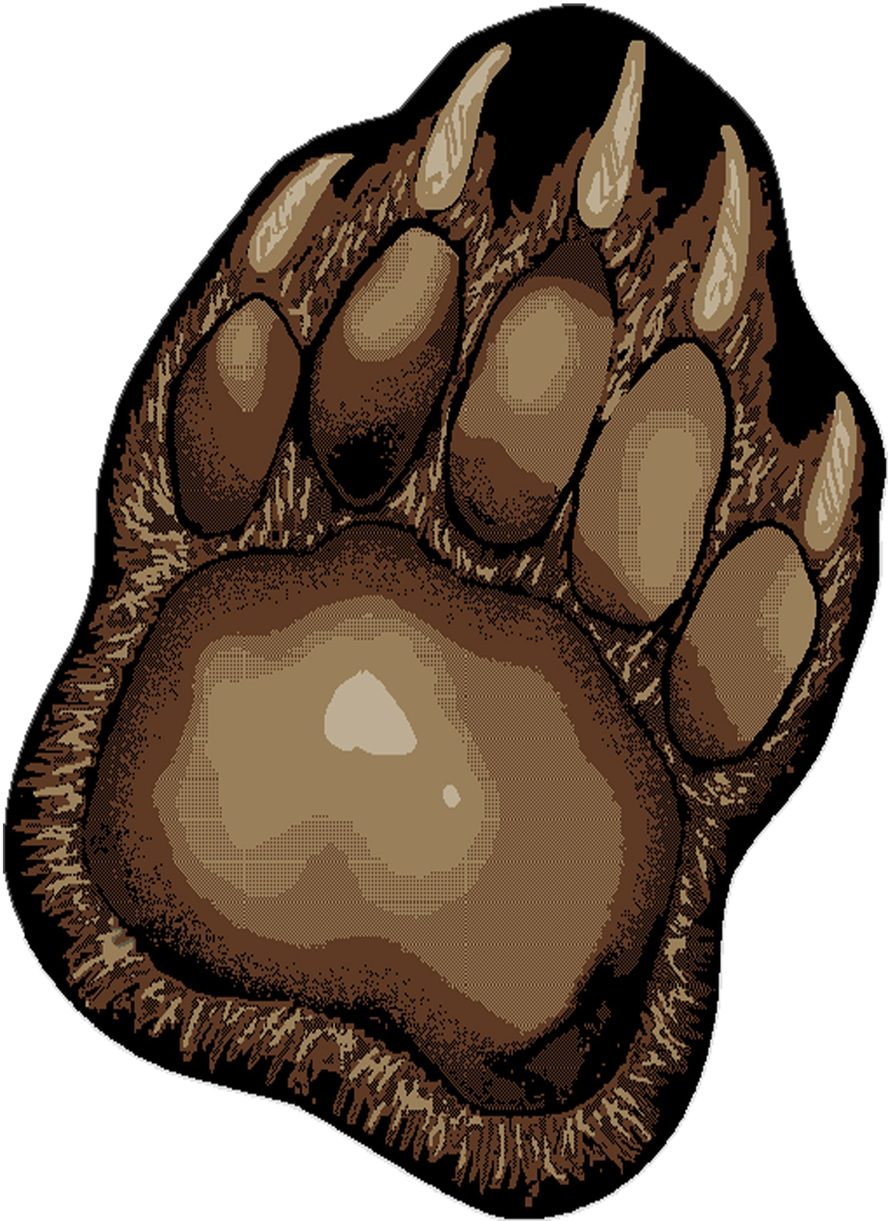 brown bear paw print