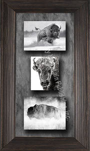 "Bison" Western Framed & Matted Triple Print