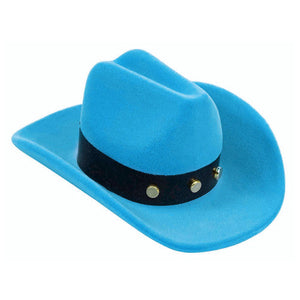 Multi-Colored Rhinestone Horseshoe Earrings with Cowboy Hat Gift Box