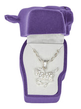 Load image into Gallery viewer, Rhinestone Pony Necklace with Horsehead Gift Box (Choose Color)