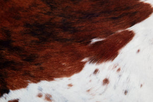 Faux Cowhide Print Rug, White Belly (Choose From 2 Sizes)