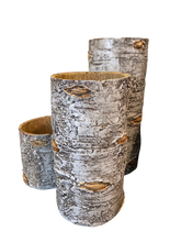 Load image into Gallery viewer, Birch Candle Holders - Set of 3