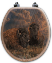 Load image into Gallery viewer, &quot;Distant Thunder&quot; Bison Oak Toilet Seat