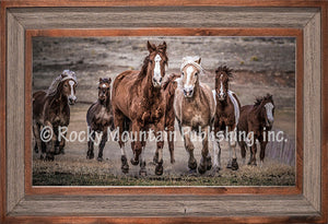 "Running Wild" Western Framed Canvas Print
