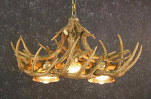 Load image into Gallery viewer, (CHD-W10DL3) Whitetail Deer 10 Antler Chandelier with 3 Downlights