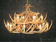 Load image into Gallery viewer, (CHD-W24) Whitetail Deer 24 Antler Chandelier