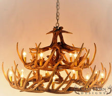Load image into Gallery viewer, (CHD-W24) Whitetail Deer 24 Antler Chandelier