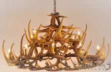 Load image into Gallery viewer, (CHD-W30) Whitetail Deer 30 Antler Chandelier