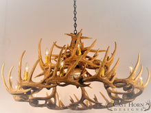 Load image into Gallery viewer, (CHD-W30DL) Whitetail Deer 30 Antler Chandelier with Downlight