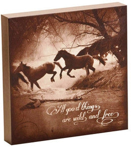 (DM-B5210056) "All Good Things Are Wild and Free" Western Shadow Box Art