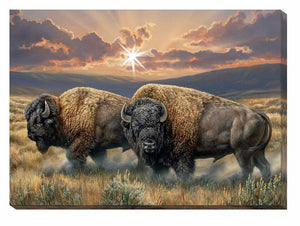 "Dusty Plains" Bison Lighted Wrapped Canvas Print