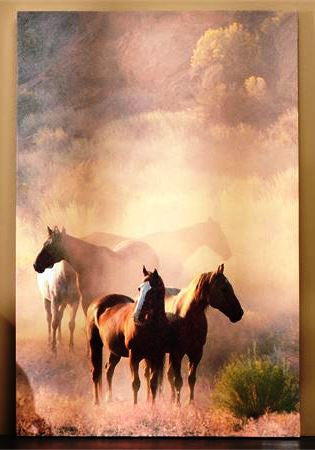 Western Canvas Horse Print