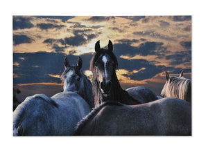 Horses at Sunset Western Canvas Wall Art