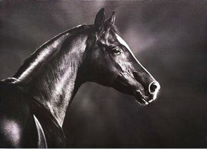 https://wildwestliving.com/cdn/shop/products/gc085401-horse-profile-black-white-canvas-wall-art-8_300x300.gif?v=1703284903