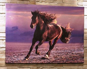 Running Horse Western Canvas Wall Art Decor
