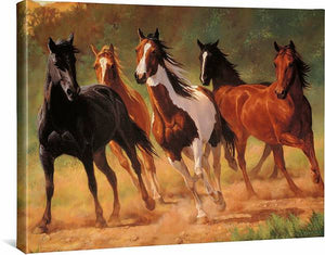 Home Run– Horses Gallery Wrapped Canvas