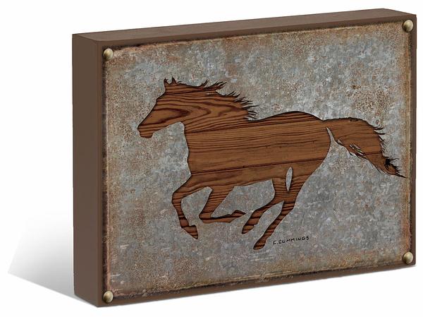 Horse Silhouette Box Art