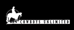 (MBDV8064) "Cowboys Unlimited Strip - 15inch" High Performance Vinyl Decal