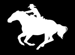 (MBDV8074) "Horse Rider 3" High Performance Vinyl Decal