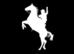 (MBDV8116) "Horse Ride" High Performance Vinyl Decal