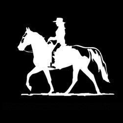 (MBDV8170) "Cowgirl - Gaited Horse" High Performance Vinyl Decal