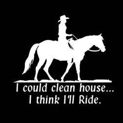 (MBDV8195) "I Could Clean House..I Think I'll Ride" High Performance Vinyl Decal