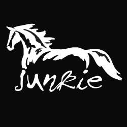 (MBDV8211) "Horse Junkie" High Performance Vinyl Decal