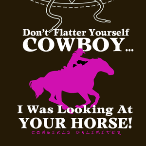 (MBHD1147) "Don't Flatter" Western Hoodie